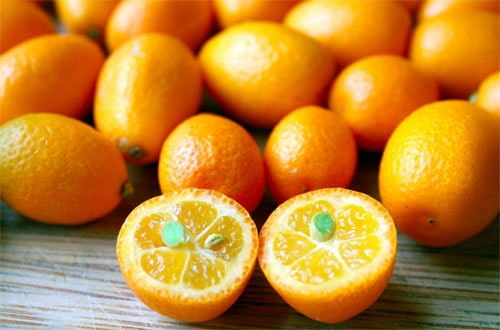 تصویر 3 از قیمت خرید پرتقال کوچک + فروش ویژه